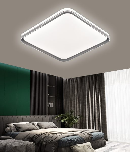 Acrylic ceiling light